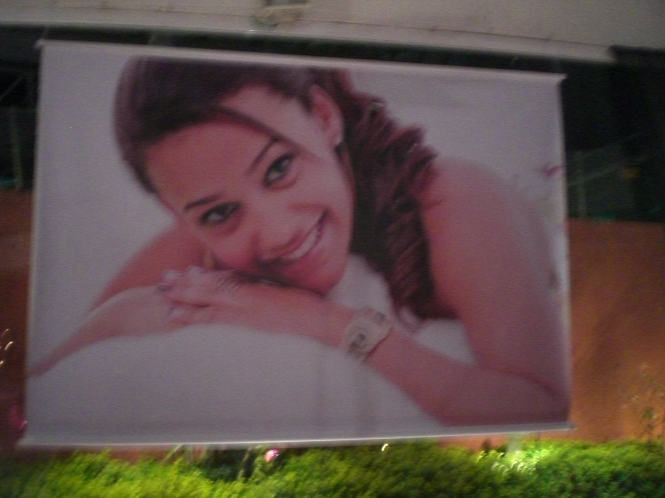 Banner de aniversariante Mariane